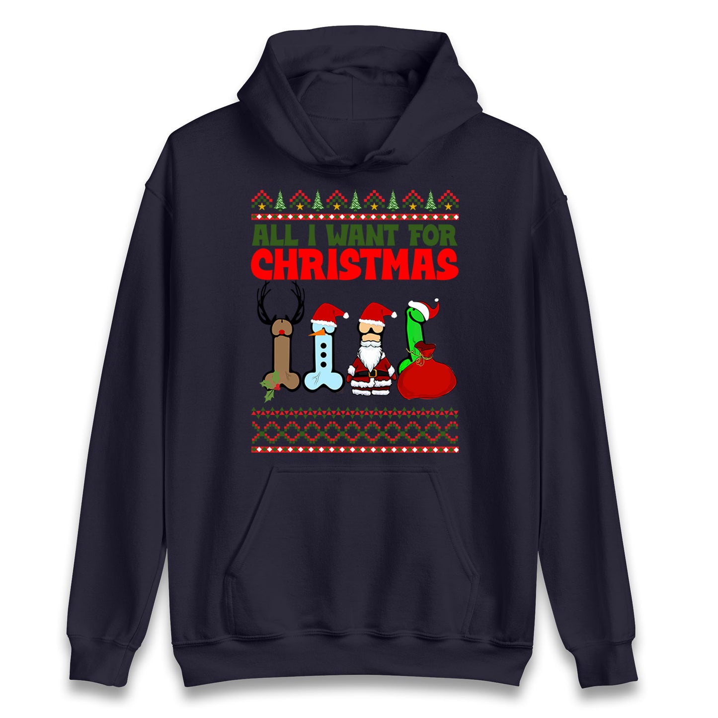 All I Want For Christmas Funny Hoodie