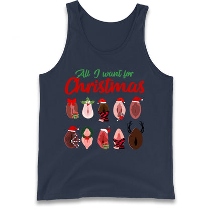 All I Want For Christmas Vagina Funny Tank Top