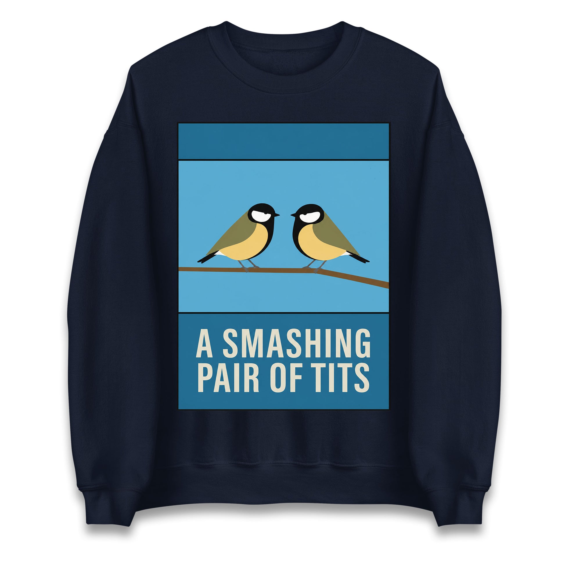 A Smashing Pair Of Tits Jumper