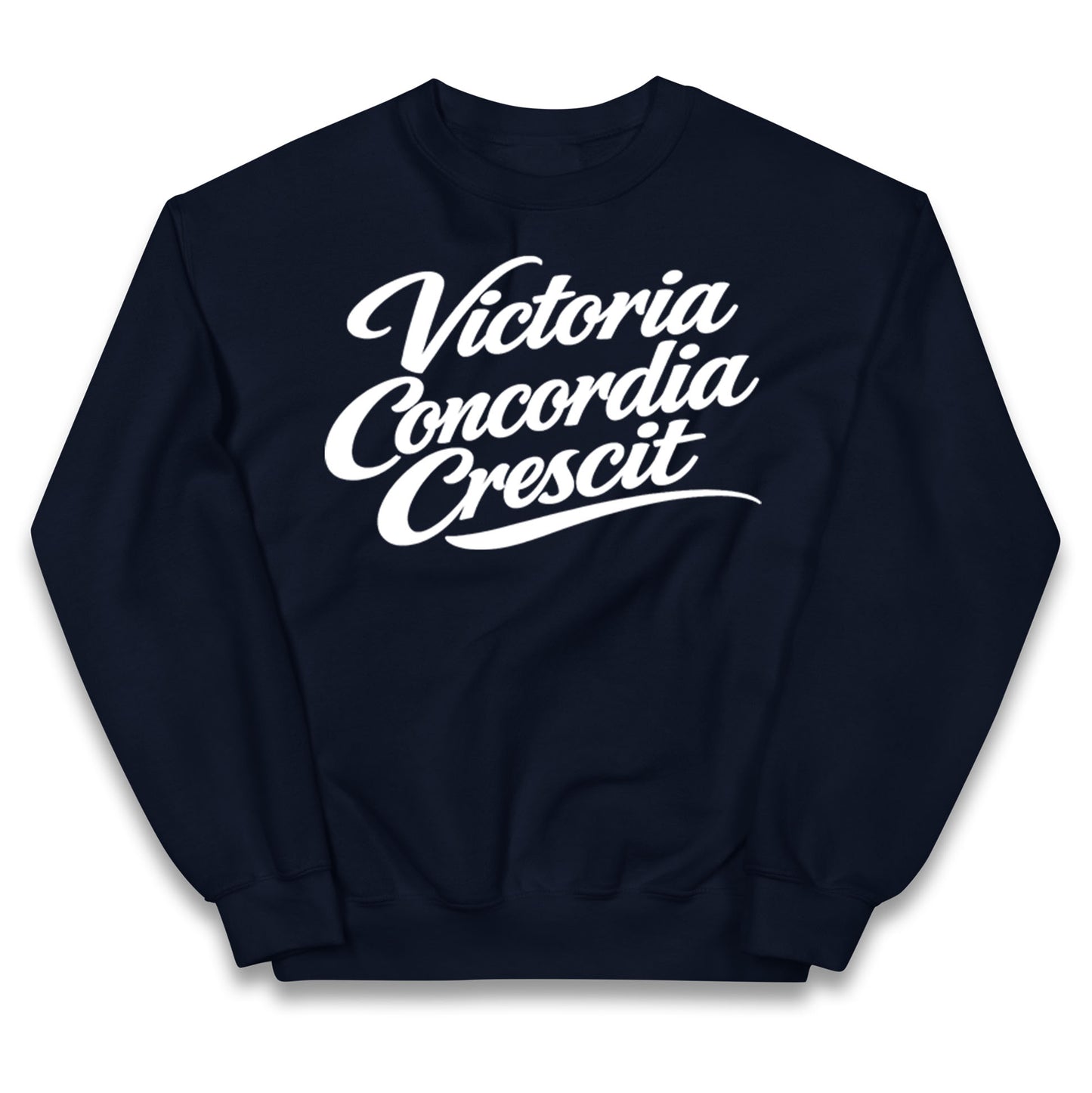 Arsenal Motto Kids Jumper
