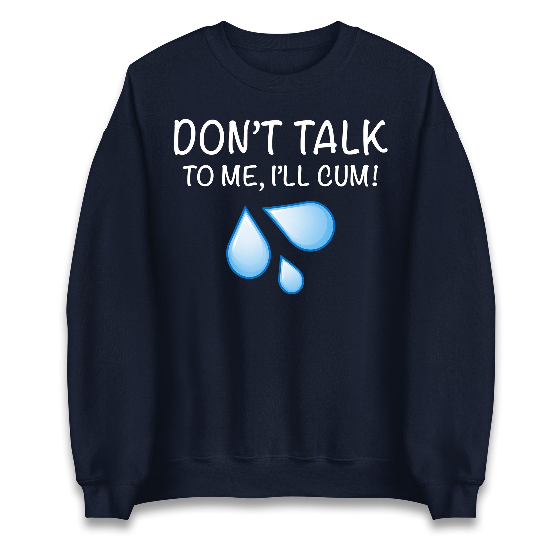 Don't Talk To Me I'll Cum Jumper