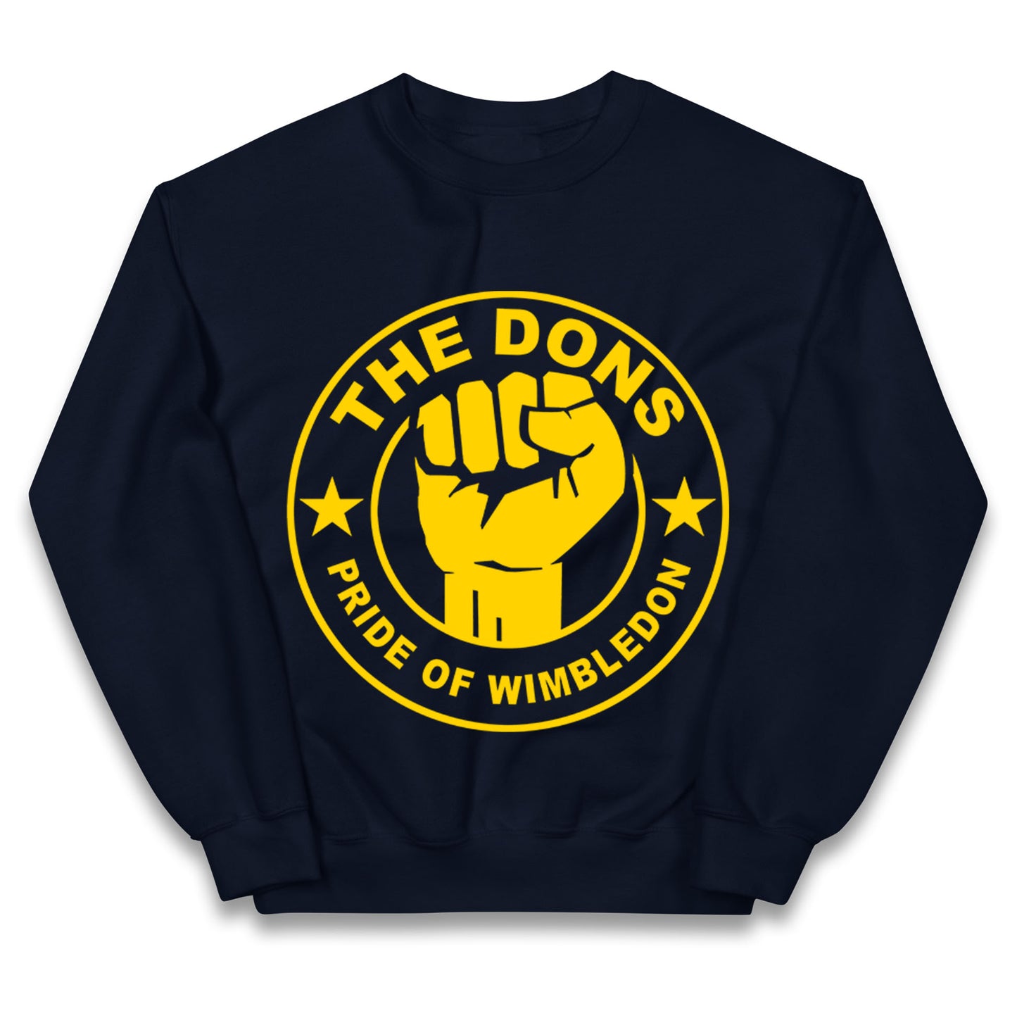 AFC Wimbledon Football Kids Jumper