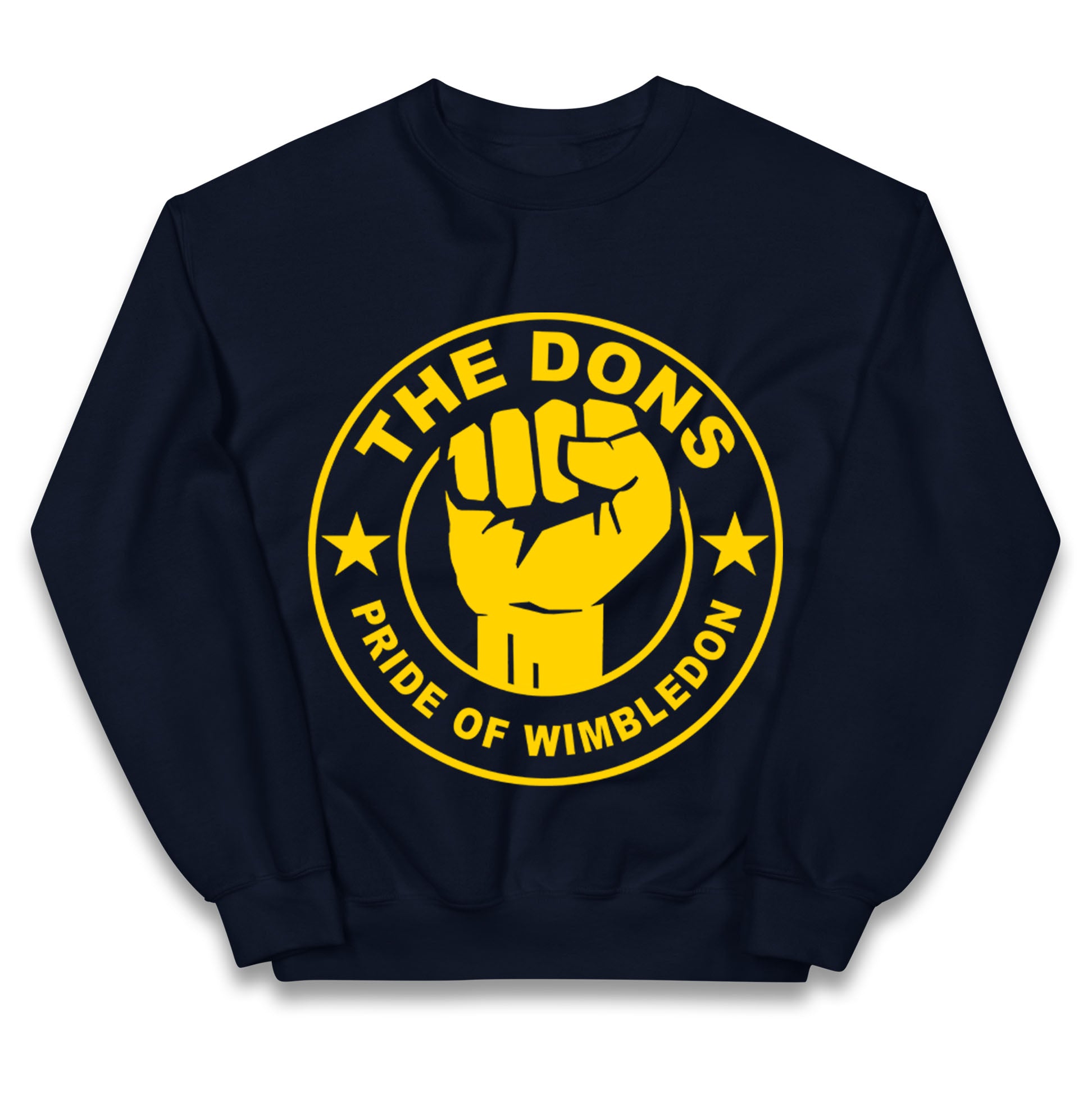 AFC Wimbledon Football Kids Jumper