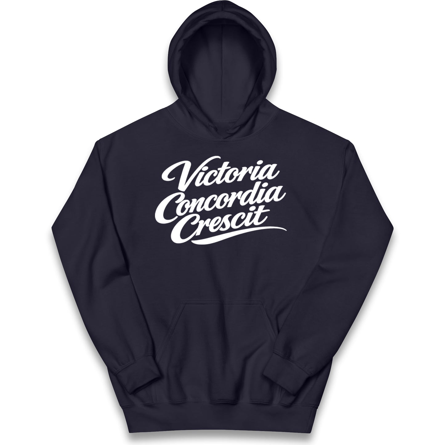 Arsenal Motto Kids Hoodie