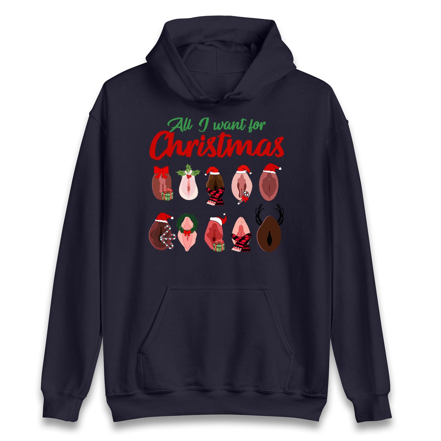 All I Want For Christmas Vagina Funny Hoodie