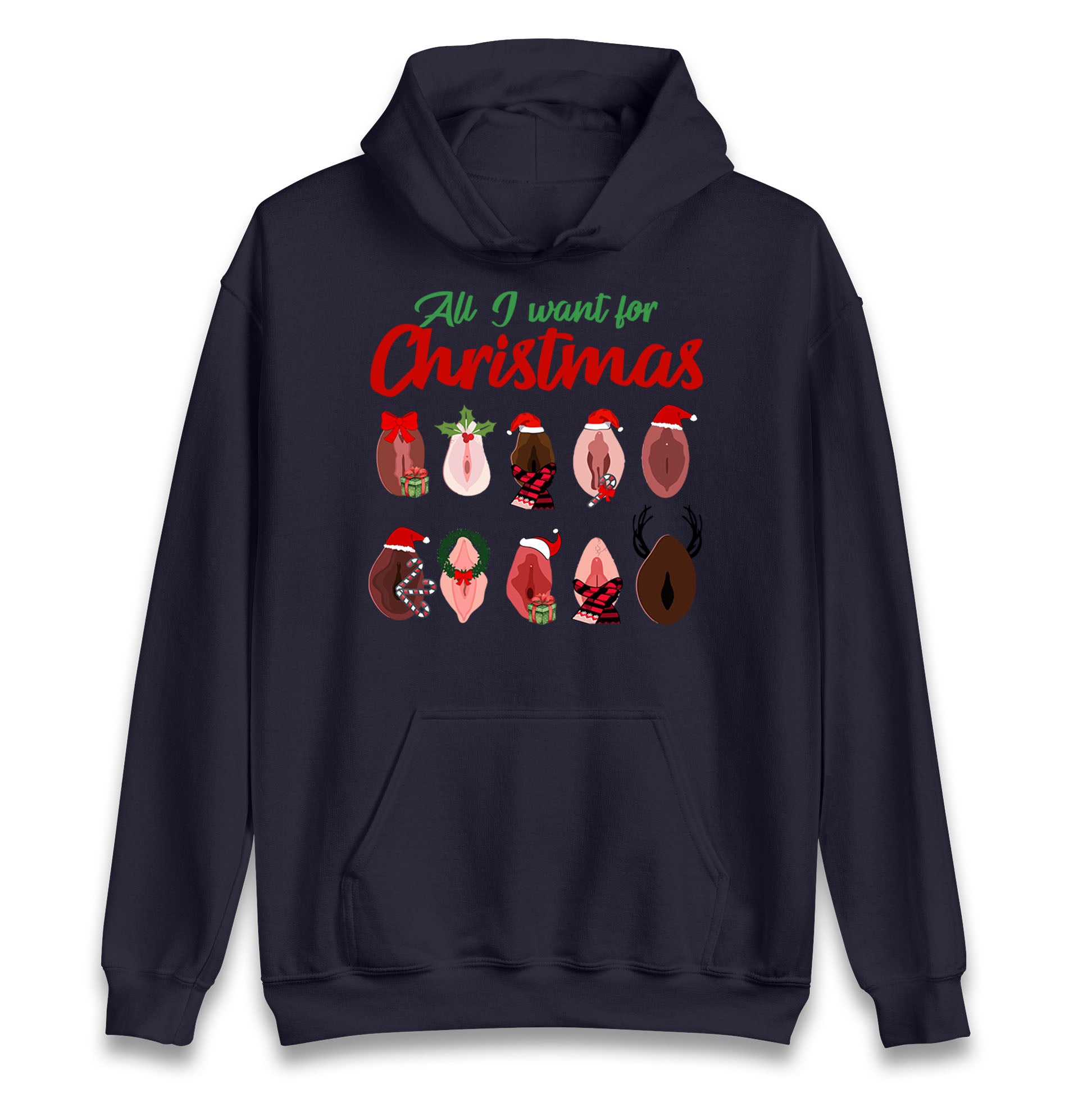 All I Want For Christmas Vagina Funny Hoodie