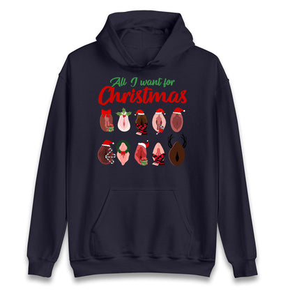 All I Want For Christmas Vagina Funny Hoodie