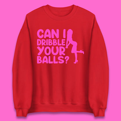 Can I Dribble You Balls? Offensive Adult Humor Gift Unisex Sweatshirt
