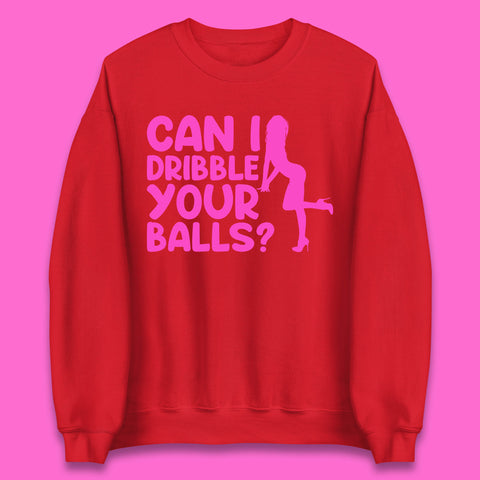 Can I Dribble You Balls? Offensive Adult Humor Gift Unisex Sweatshirt