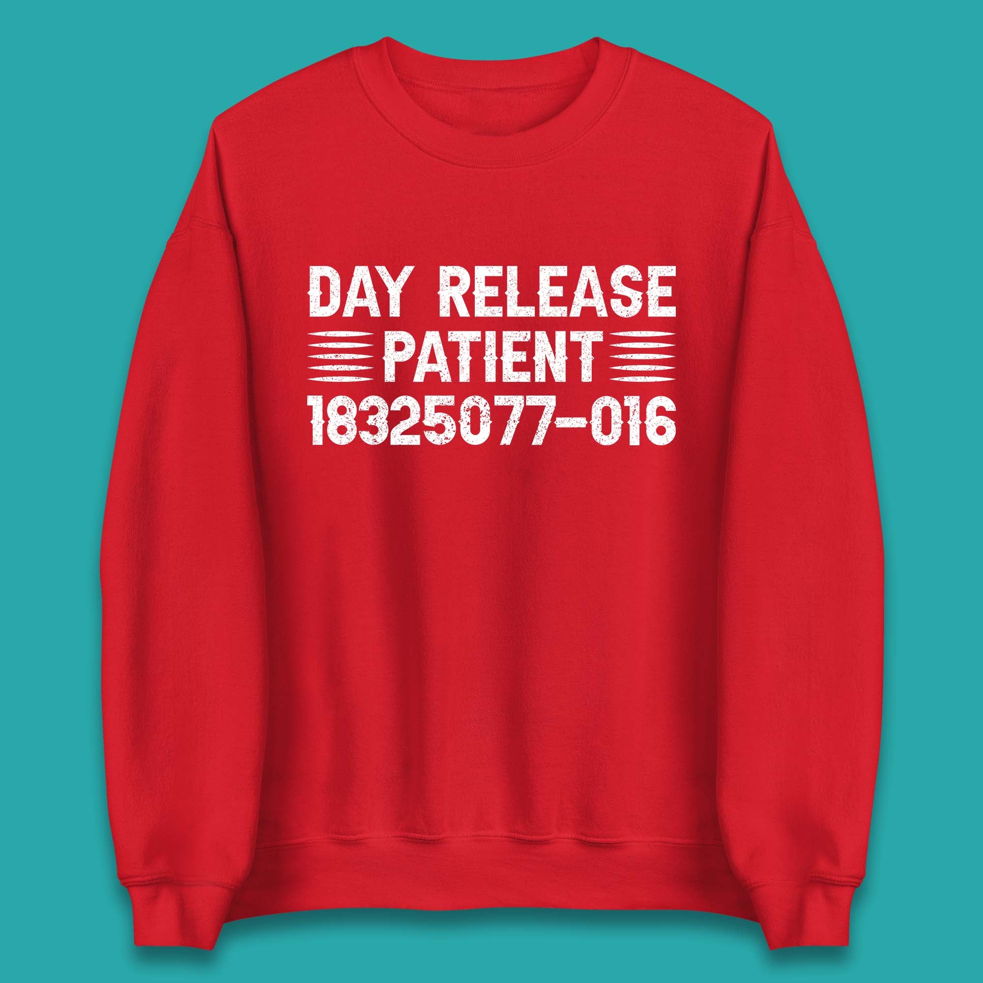 Day Release Patient Psycho Ward Halloween Mental Health Parole Jail Prison Funny Locked Up Unisex Sweatshirt