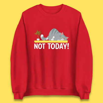 Not Today Cat Funny Kitten Lazy Cats Sleepy Cat Lover Unisex Sweatshirt