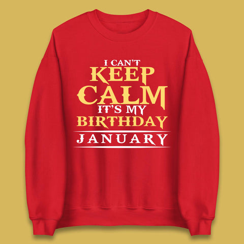 January Birth Party Unisex Sweatshirt