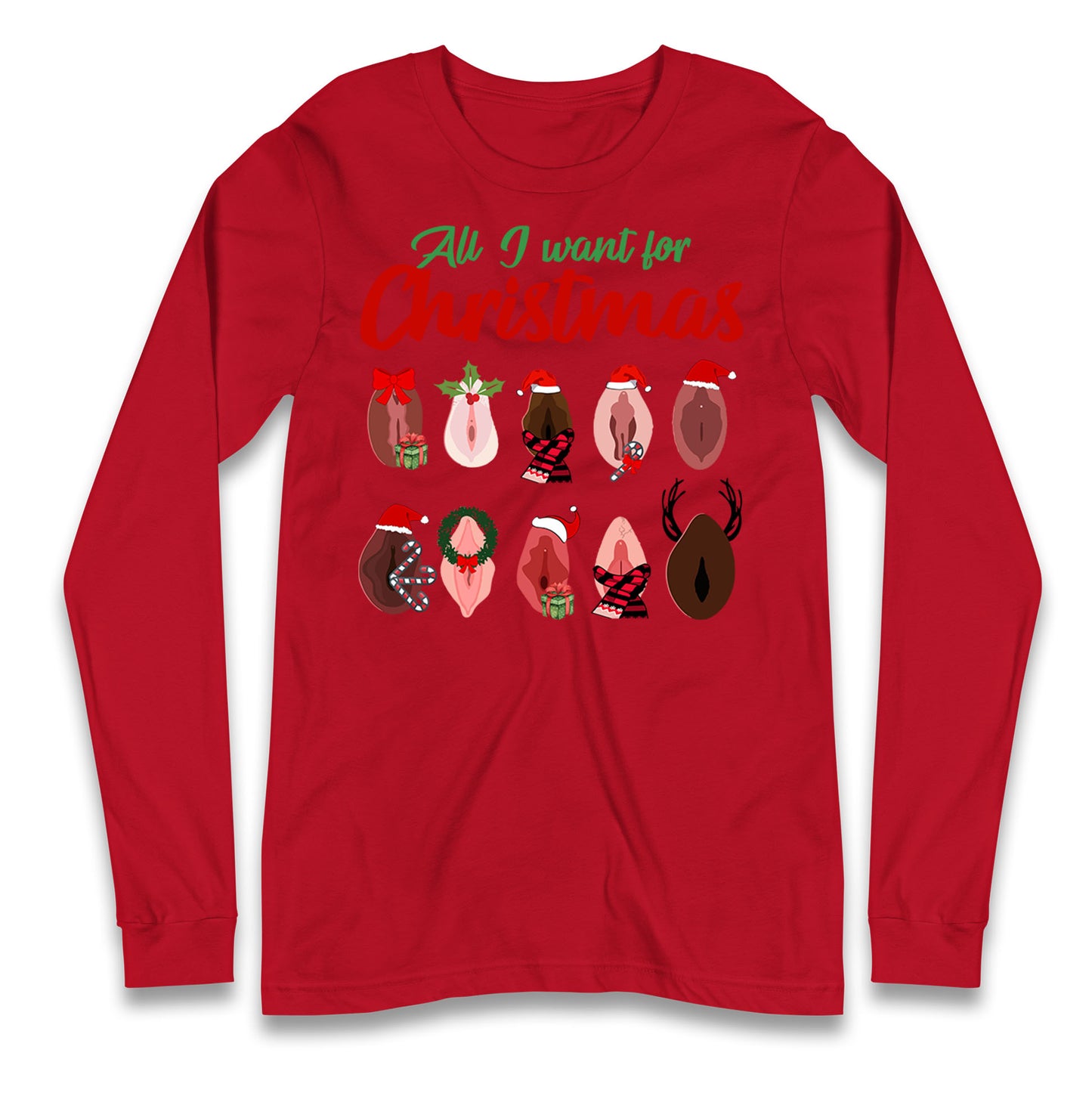 All I Want For Christmas Vagina Funny T Shirt