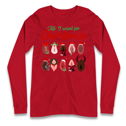 All I Want For Christmas Vagina Funny T Shirt