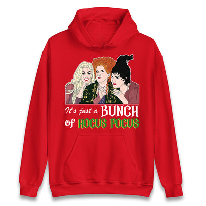 The Sanderson Sisters Disney Hocus Pocus Halloween Hoodie
