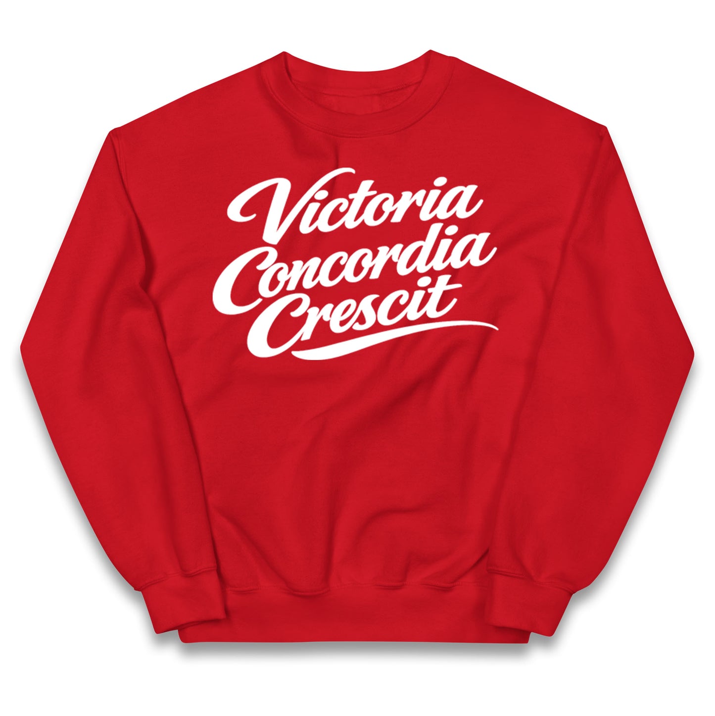 Arsenal Motto Kids Jumper