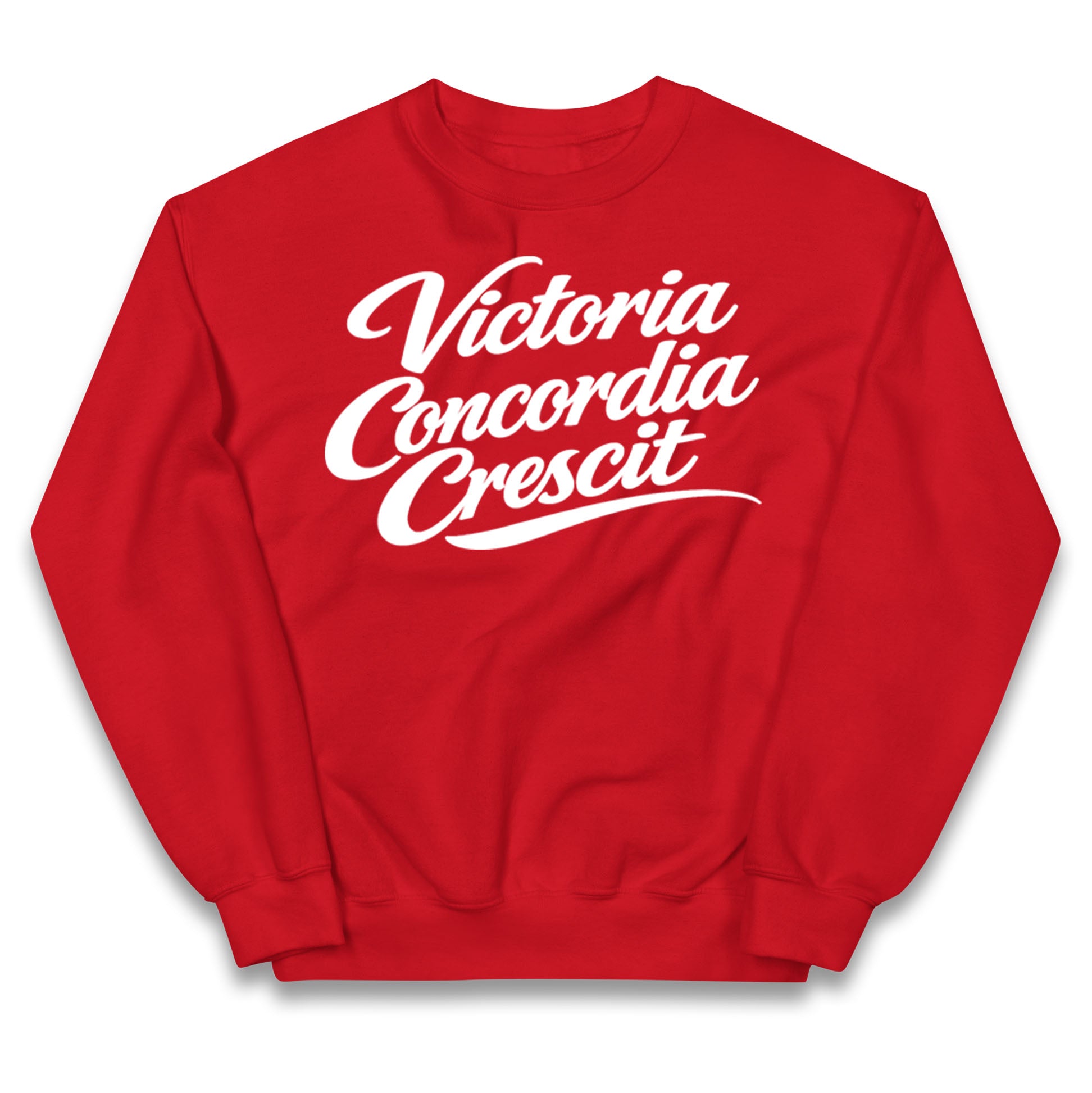 Arsenal Motto Kids Jumper