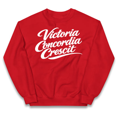 Arsenal Motto Kids Jumper