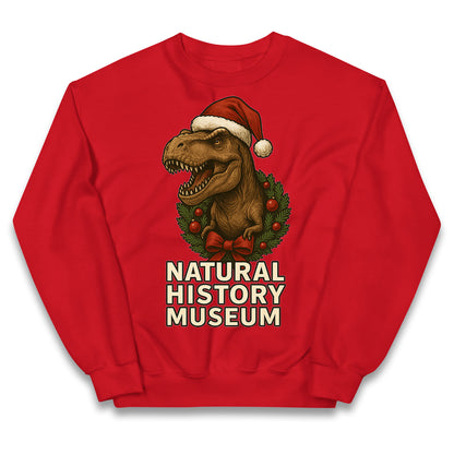 Natural History Museum Christmas Kids Jumper