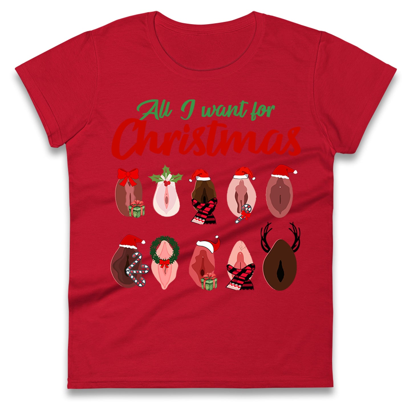 All I Want For Christmas Vagina Funny T Shirt