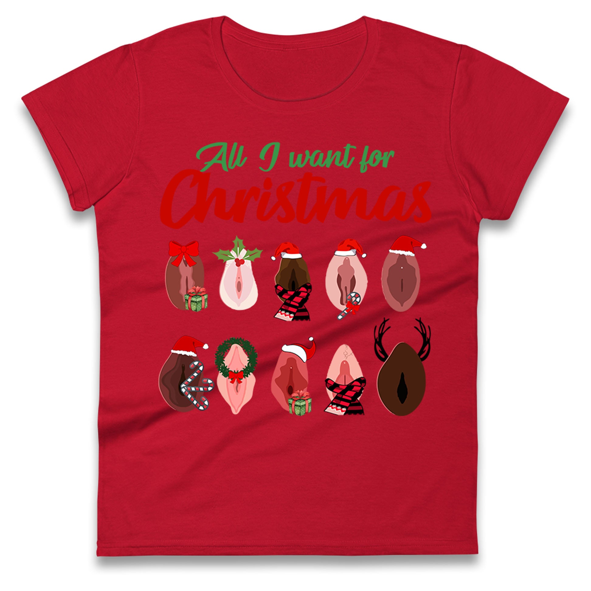 All I Want For Christmas Vagina Funny T Shirt