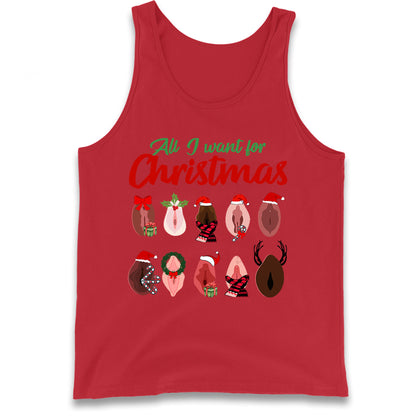 All I Want For Christmas Vagina Funny Tank Top