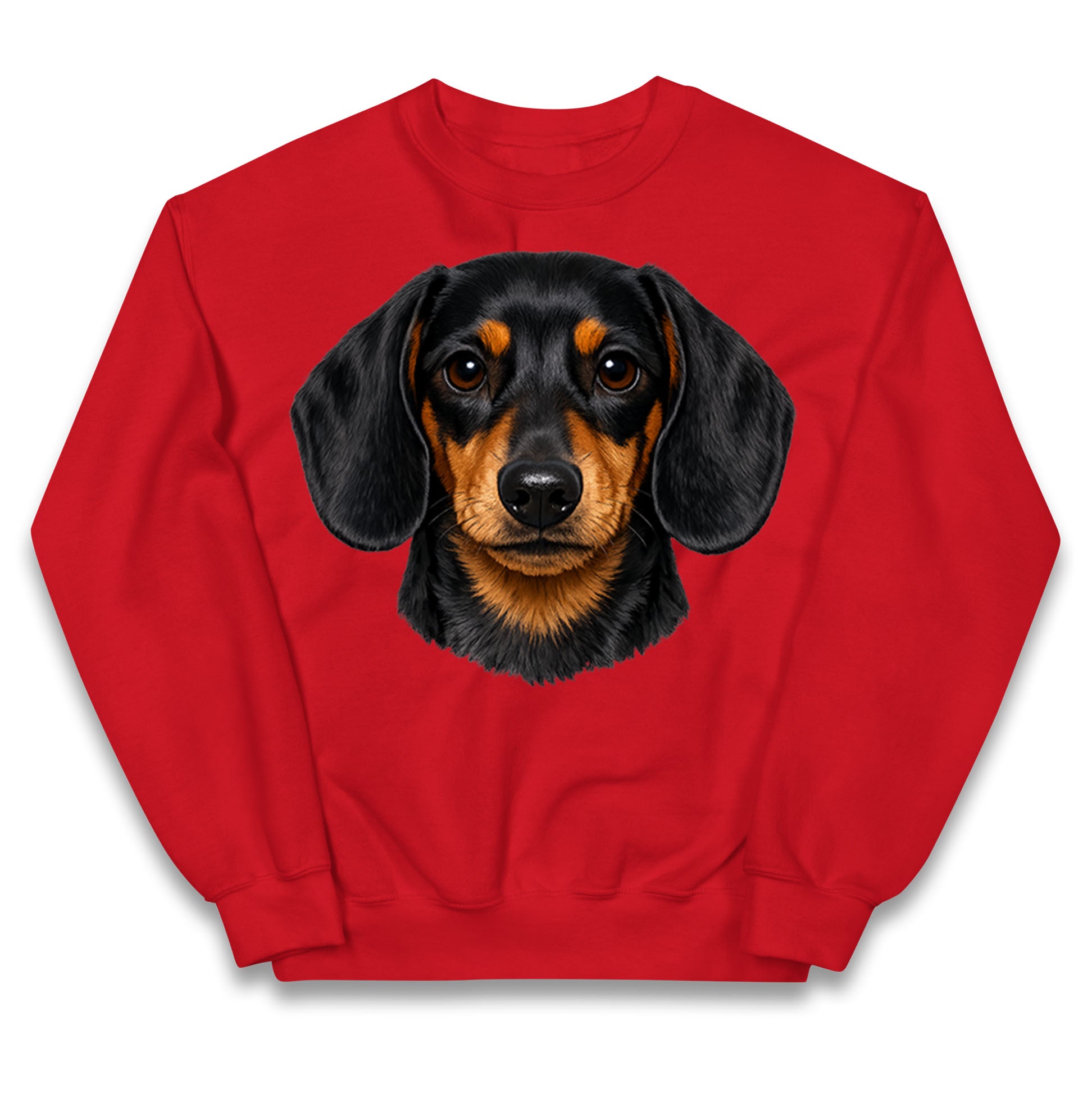 Dachshund Dog Face Kids Jumper