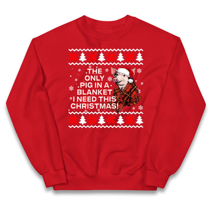 Pigs in Blankets Kids Jumper