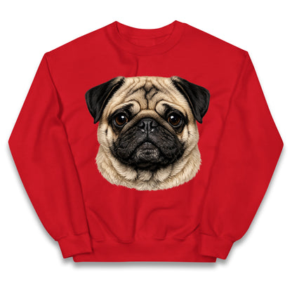 Pug Dog Face Kids Jumper
