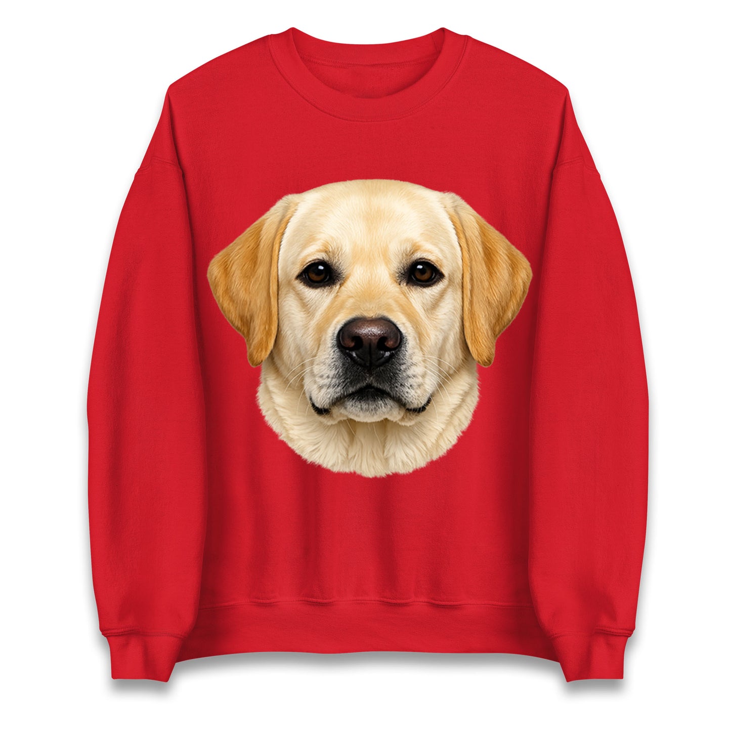 Labrador Dog Face Jumper 