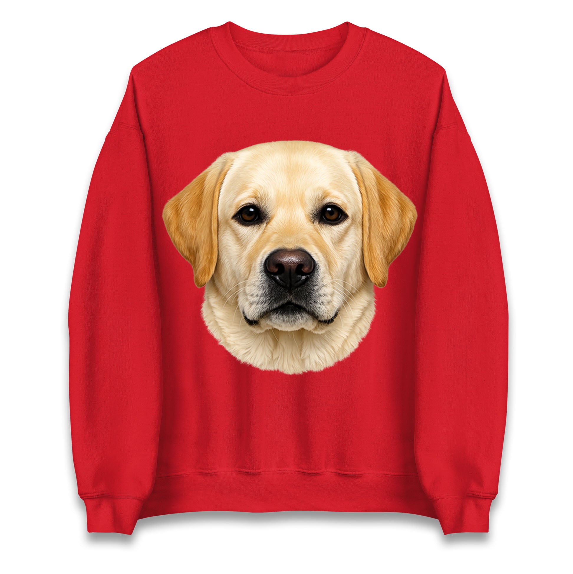 Labrador Dog Face Jumper 