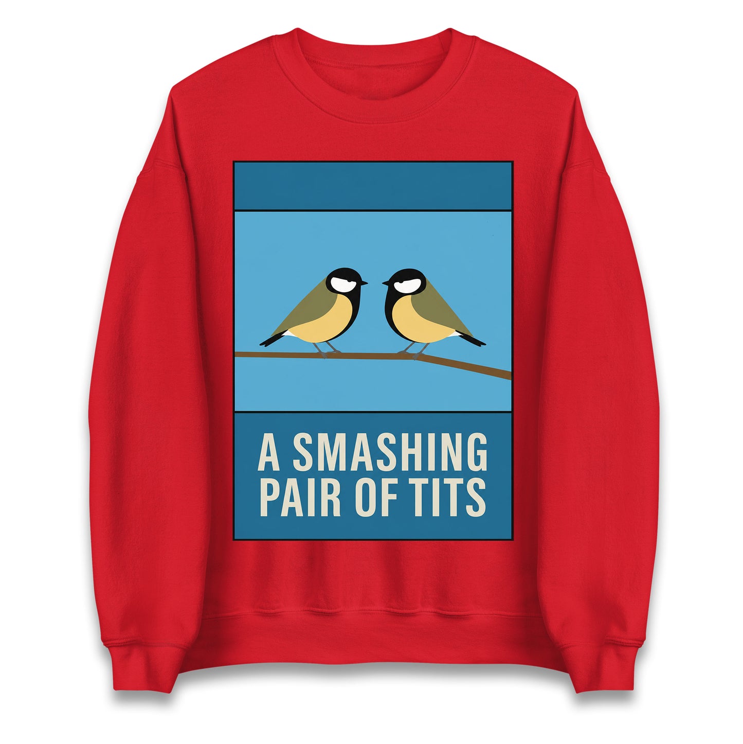 A Smashing Pair Of Tits Jumper