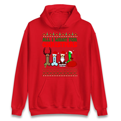 All I Want For Christmas Funny Hoodie