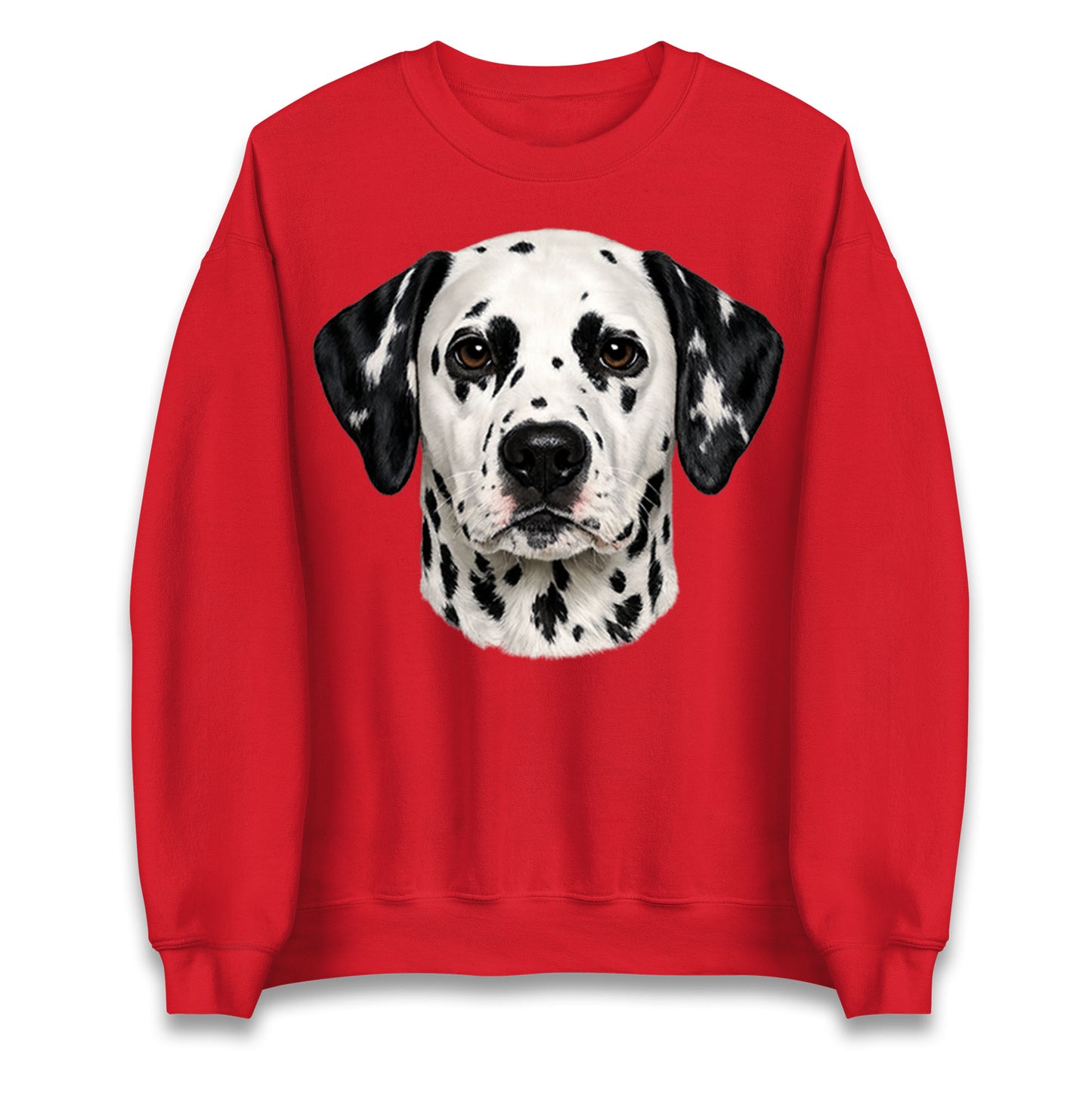 Dalmatian Dog Face Jumper
