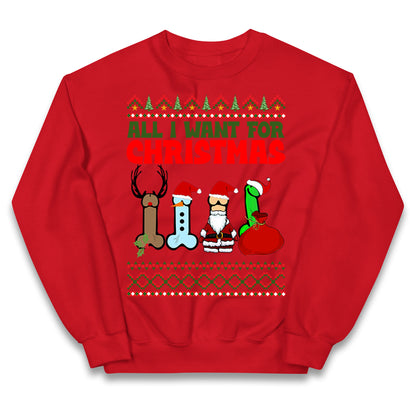 All I Want For Christmas Funny Adults Joke Jumper