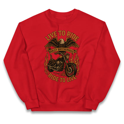 Harley Brotherhood Kids Jumper
