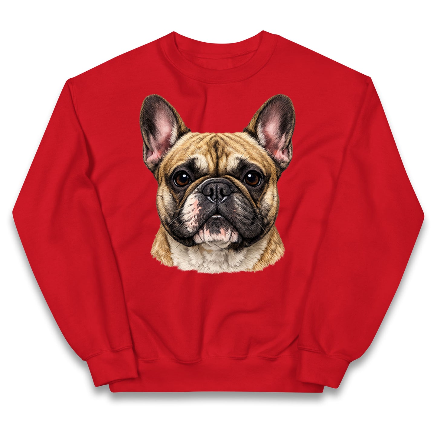 French Bulldog Face Kids Jumper