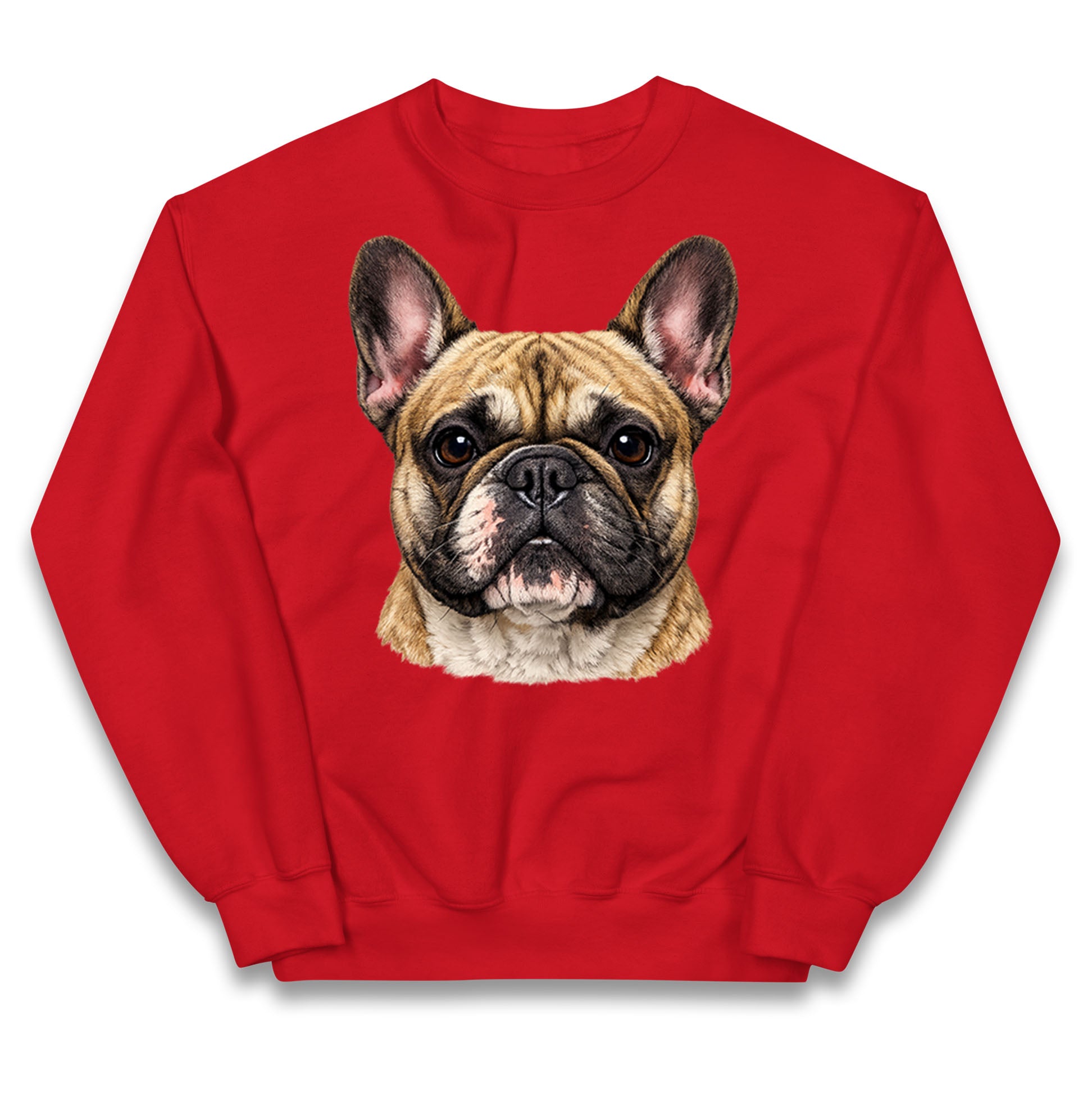 French Bulldog Face Kids Jumper