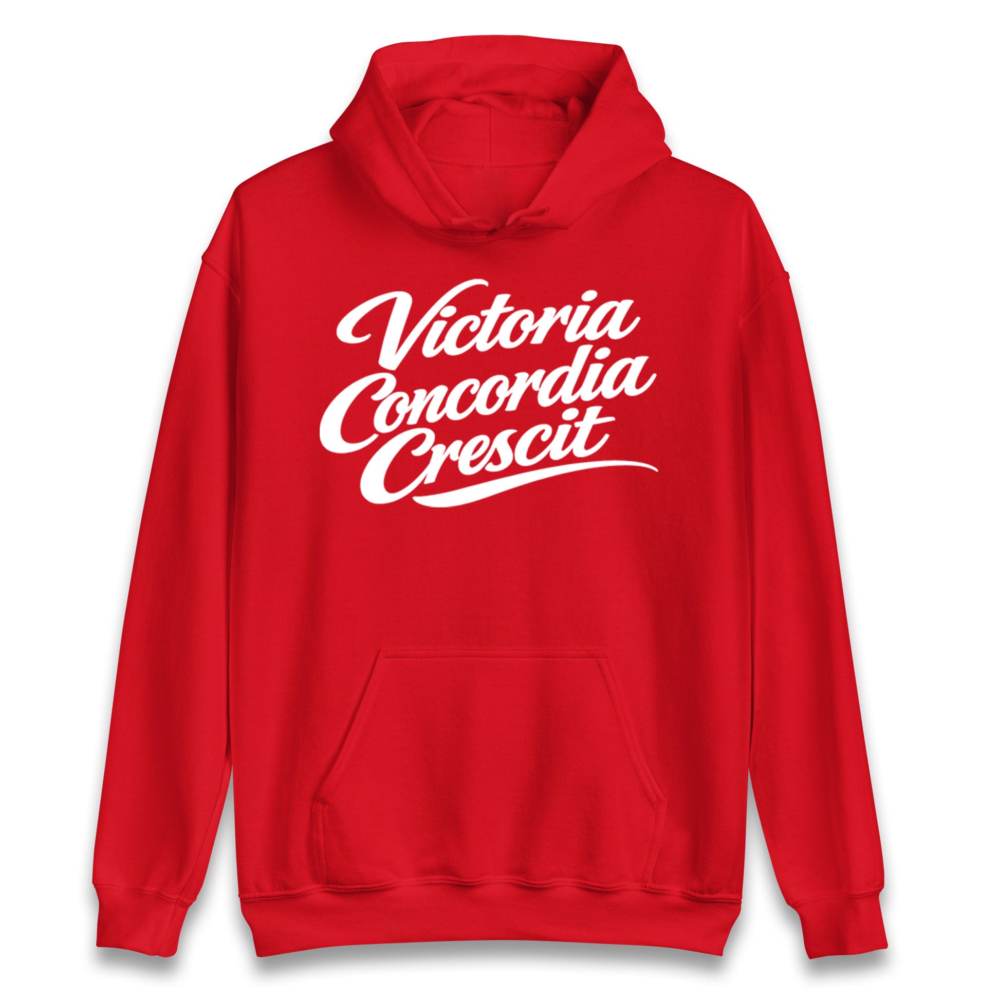 Arsenal Motto Hoodie