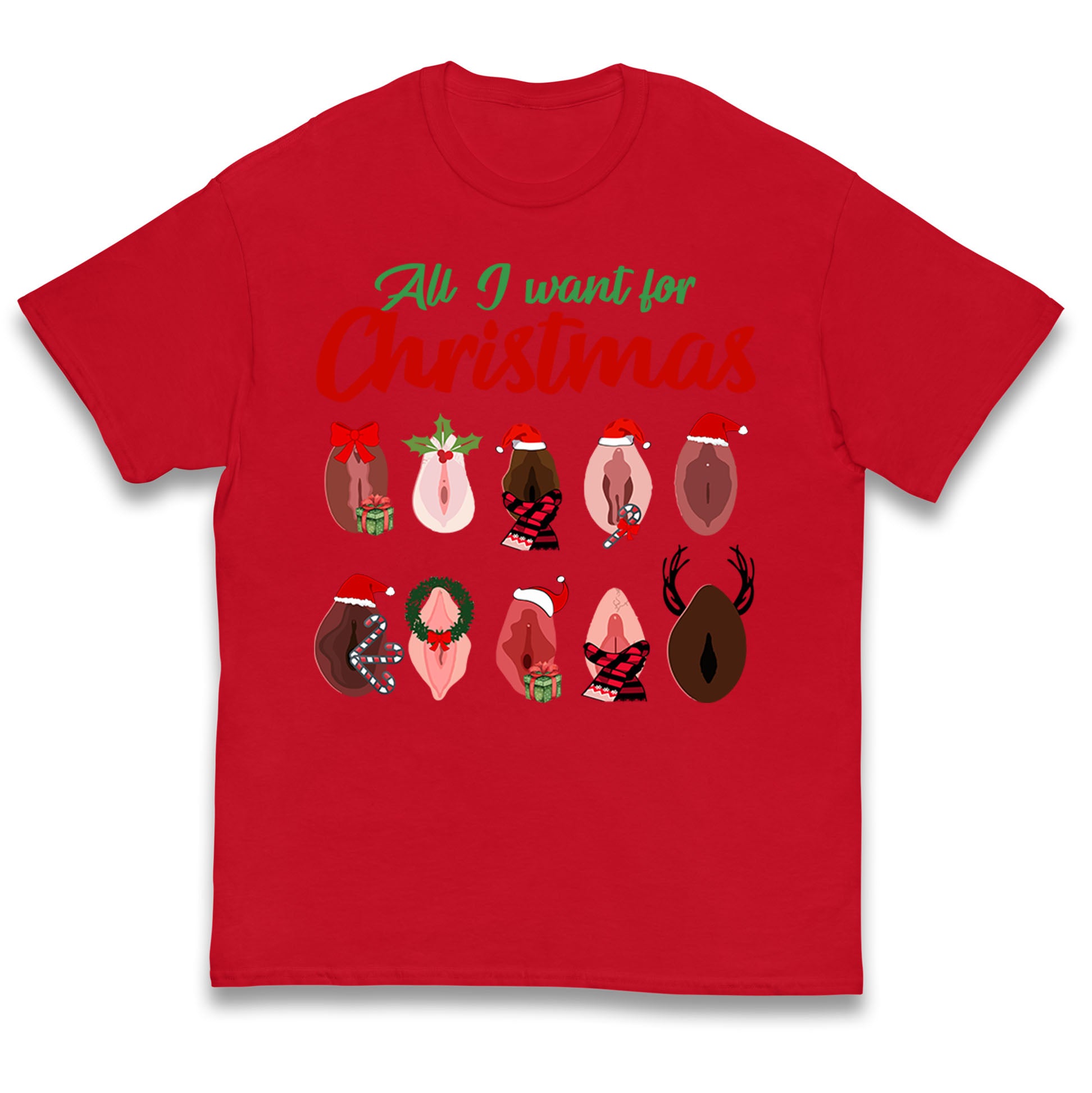 All I Want For Christmas Vagina Funny T Shirt