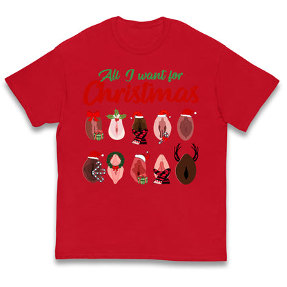 All I Want For Christmas Vagina Funny T Shirt