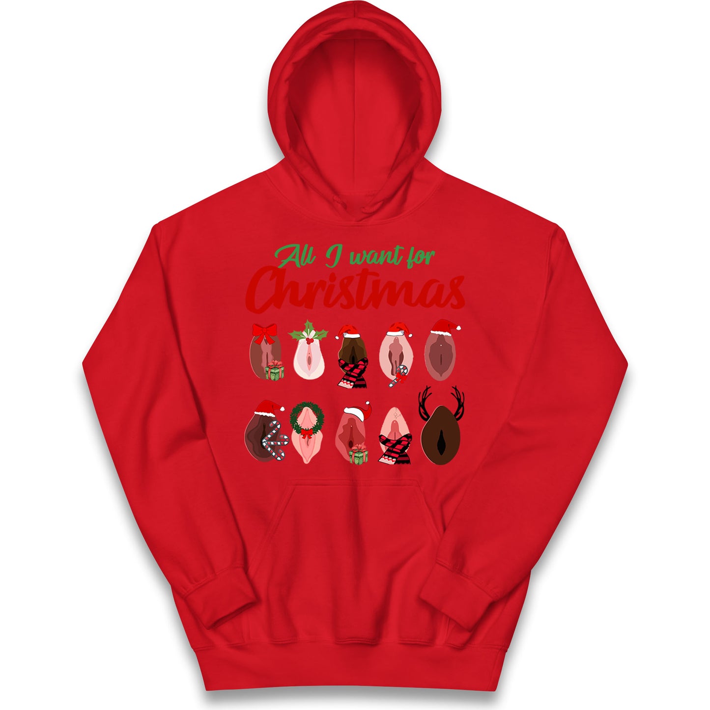 All I Want For Christmas Vagina Funny Hoodie