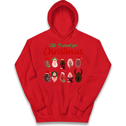 All I Want For Christmas Vagina Funny Hoodie