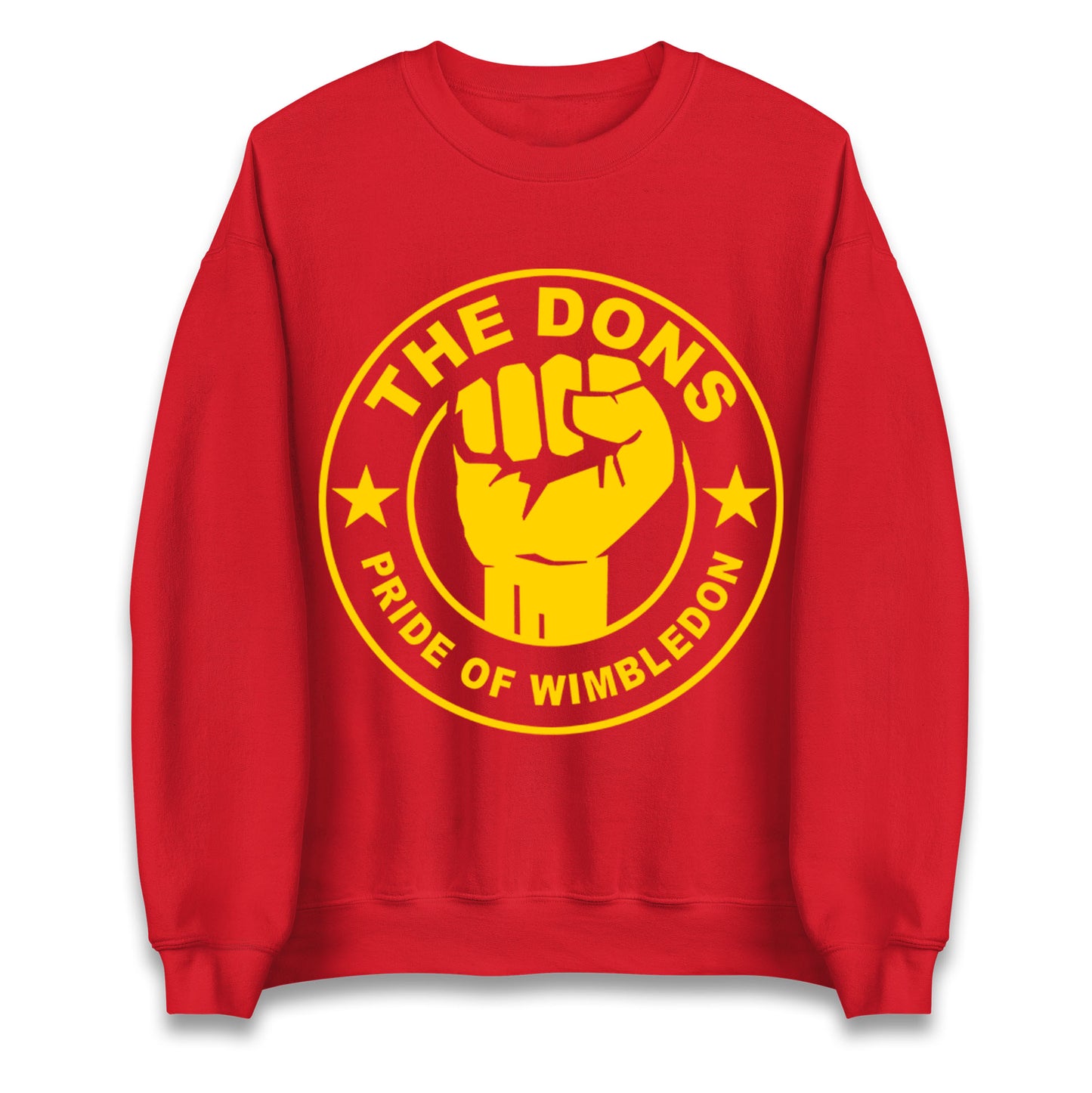 AFC Wimbledon Football Jumper