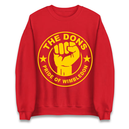 AFC Wimbledon Football Jumper