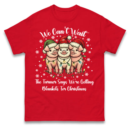Three Pigs Christmas T Shirt