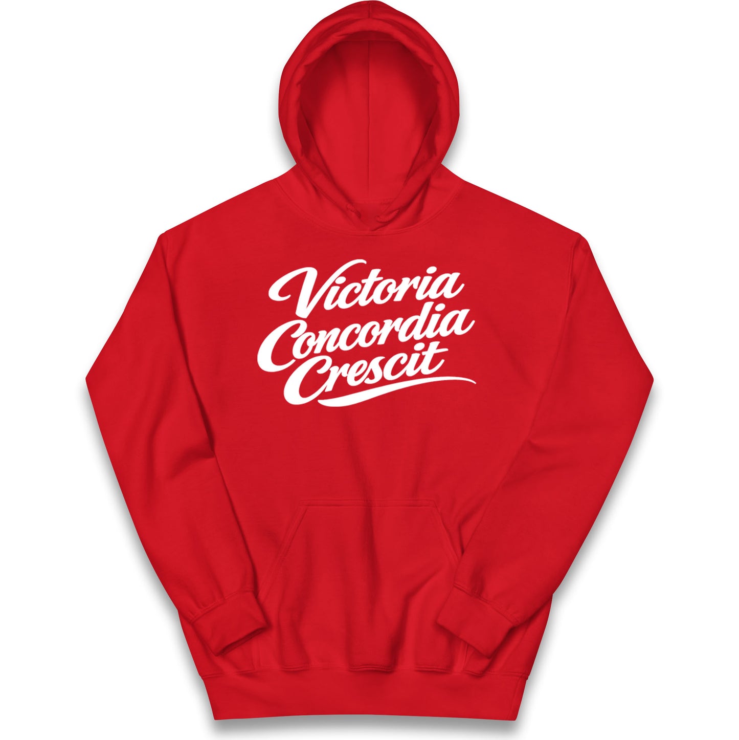 Arsenal Motto Kids Hoodie