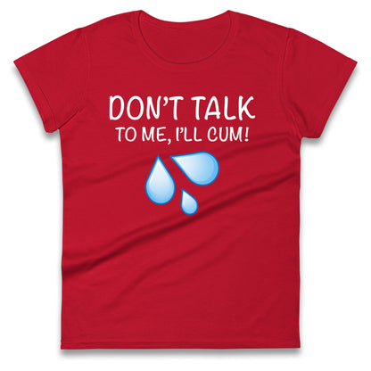 Don't Talk To Me I'll Cum Ladies T Shirt