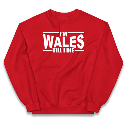 I'm Wales Till I Die Kids Jumper