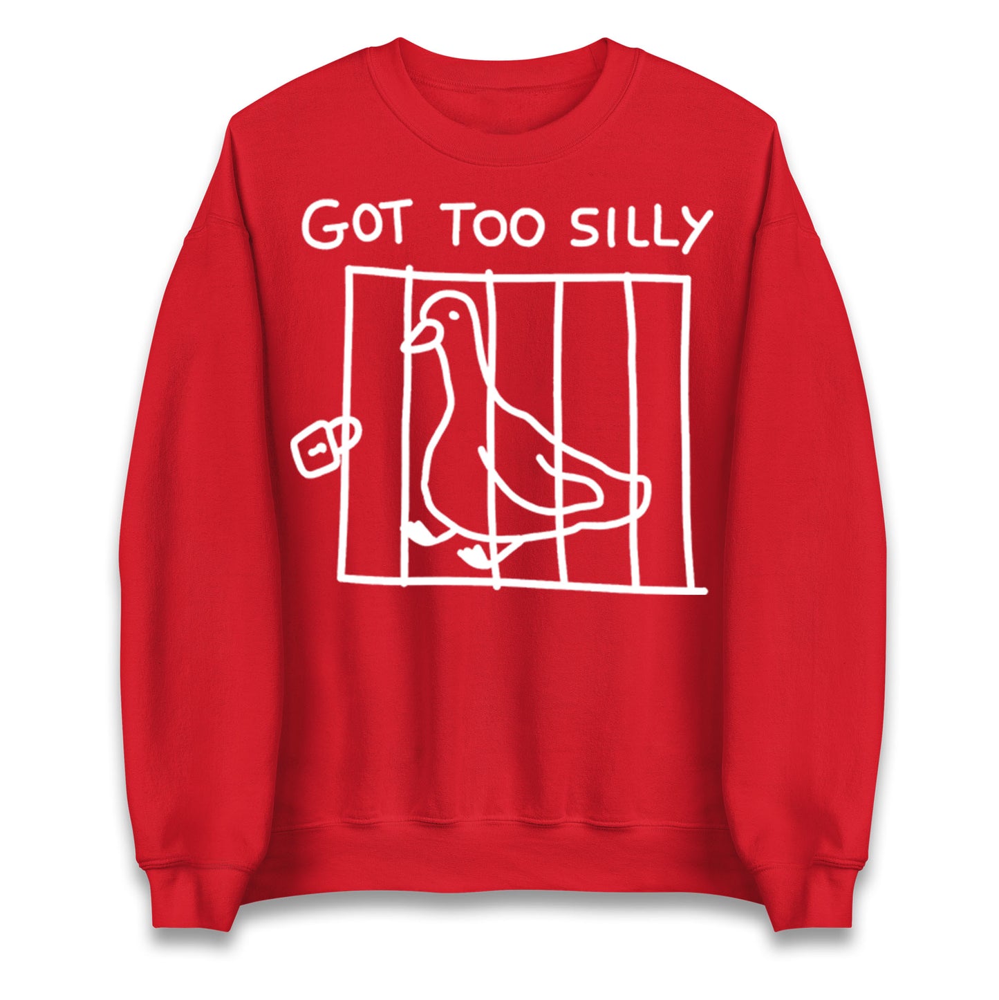Silly Goose Jumper